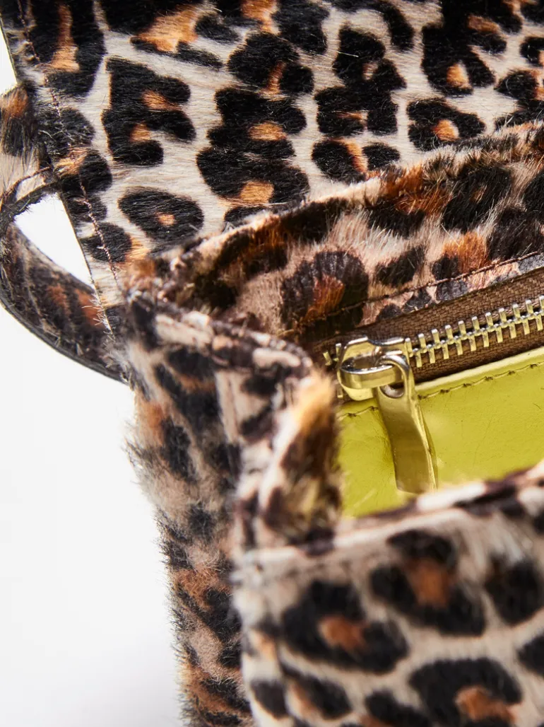 Babe Leopard