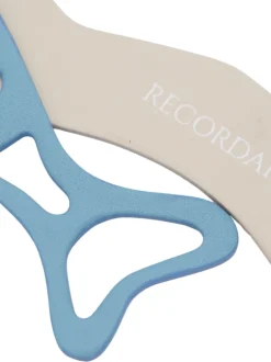 Sardina hielo charm